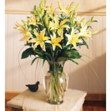 Half Dozen Yellow Lilies in a Vase